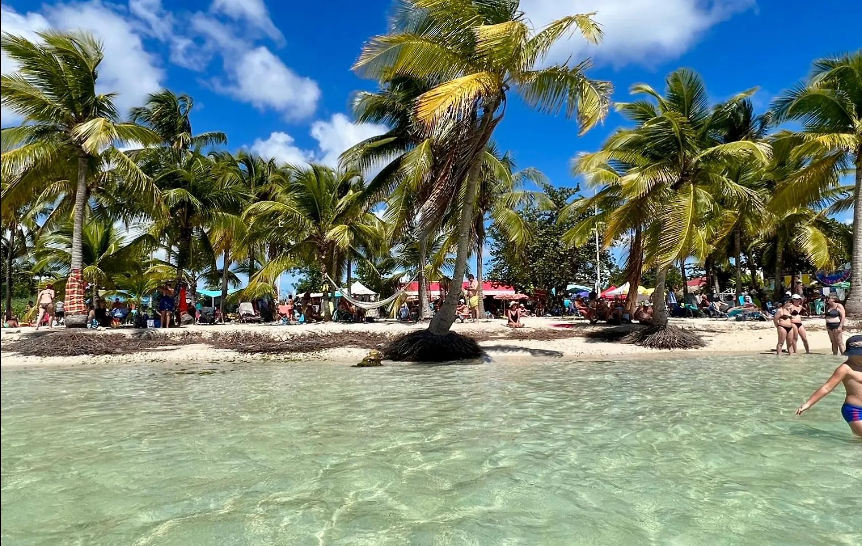 T3 Front De Mer Vue Imprenable Sur Lagon Avec Piscine Eden Blue Ste Anne Cuve Tampon Sainte-Anne  0*, Sainte-Anne (Grande-Terre)